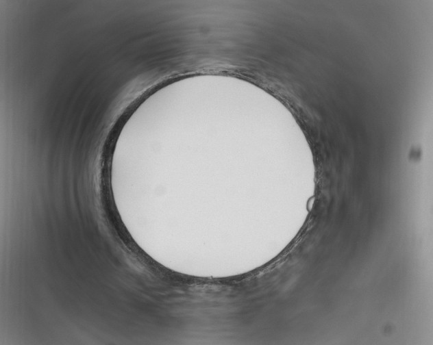 X0000116620242201001081237