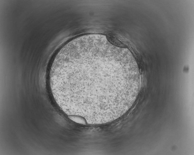 X0000116620243201001081237