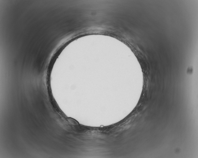 X0000116620244201001081237