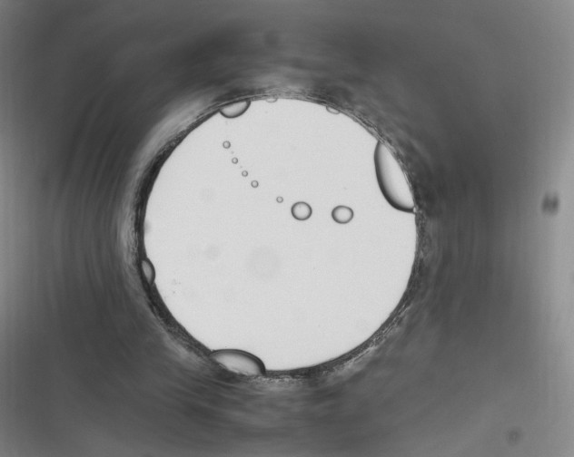 X0000116620245201001081237