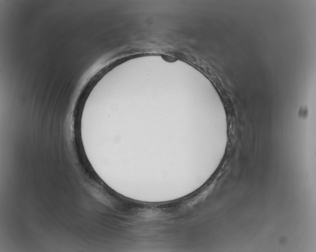 X0000116620246201001081237