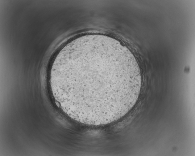 X0000116620247201001081237