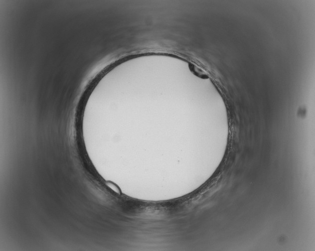 X0000116620248201001081237