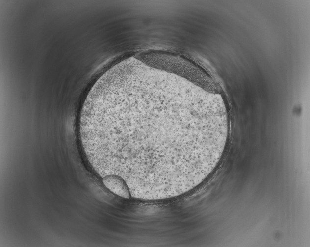 X0000116620249201001081237