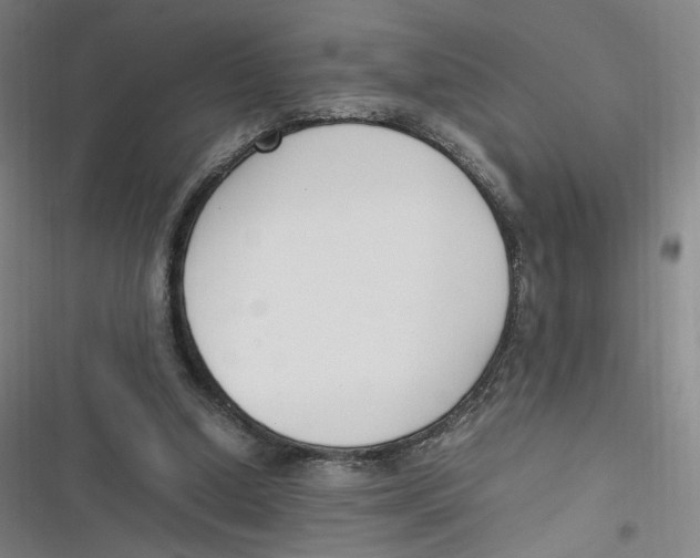 X0000116620250201001081237