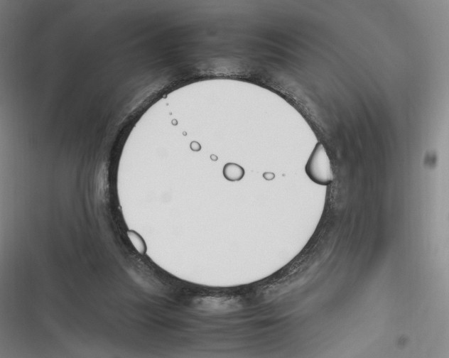 X0000116620251201001081237