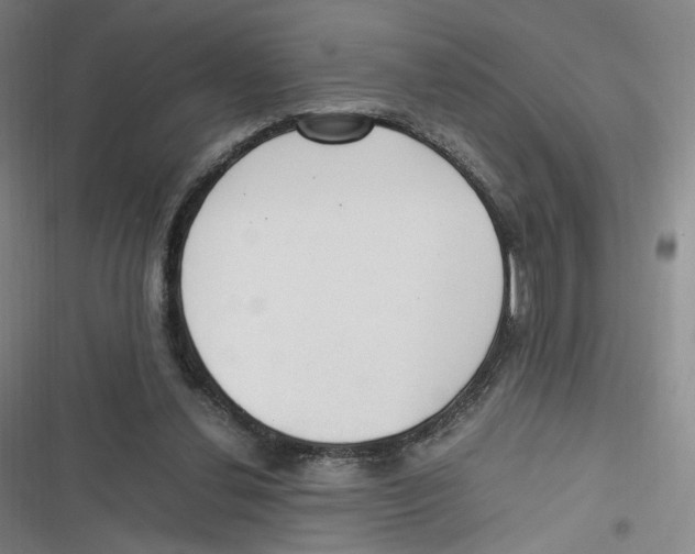 X0000116620252201001081237