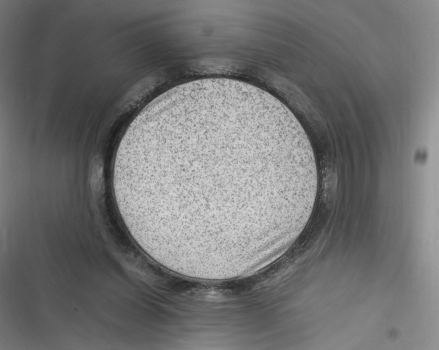 X0000116620254201001081238