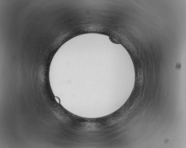 X0000116620255201001081238