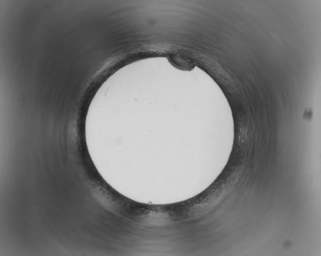 X0000116620256201001081238