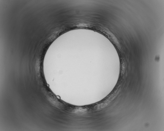 X0000116620257201001081238