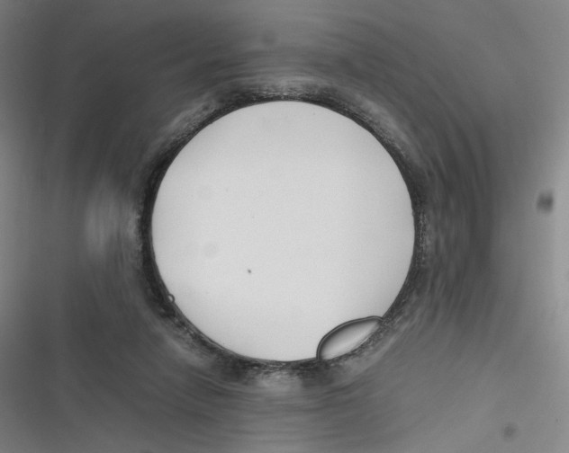 X0000116620258201001081238