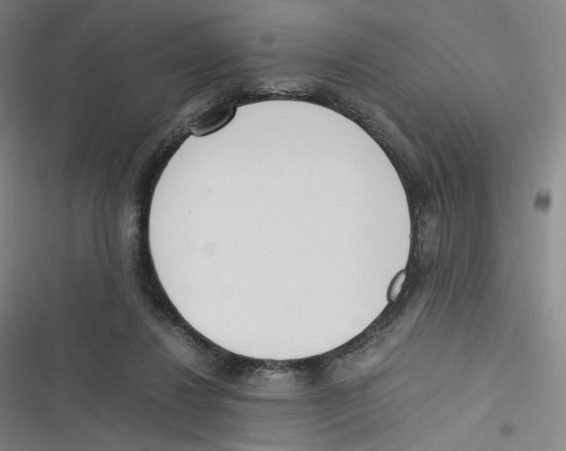 X0000116620260201001081238