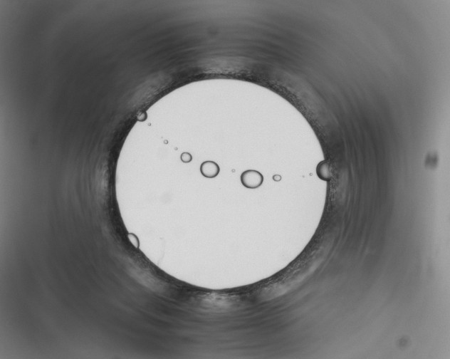 X0000116620261201001081238