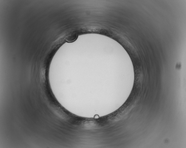 X0000116620262201001081238