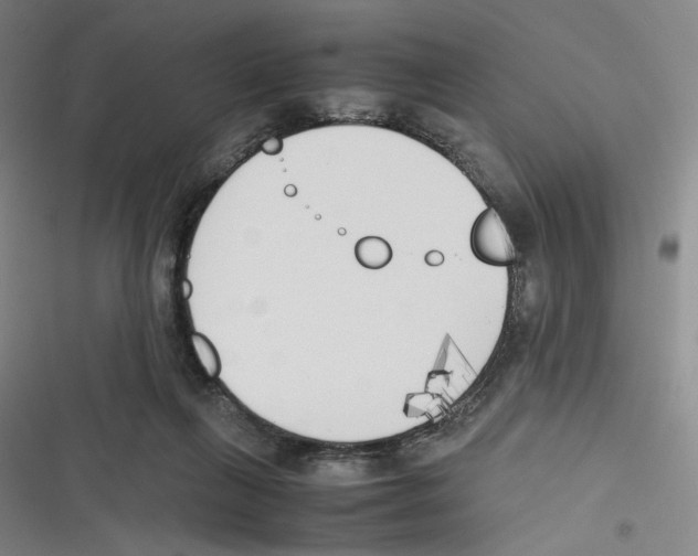 X0000116620263201001081238