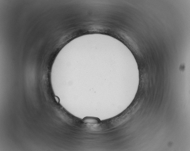 X0000116620265201001081238