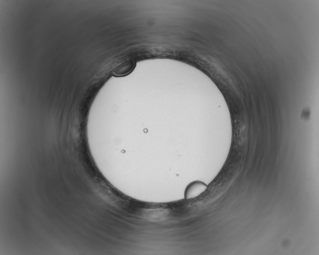 X0000116620266201001081238