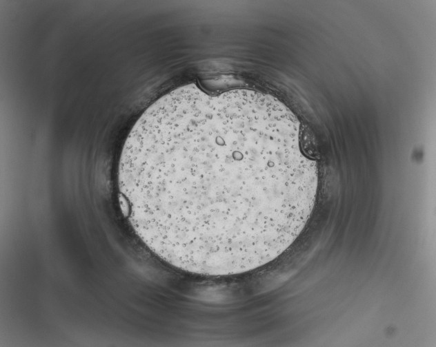 X0000116620267201001081238