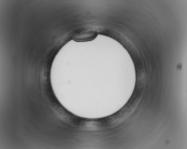 X0000116620268201001081238