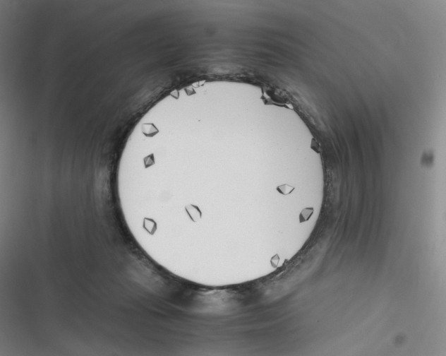 X0000116620269201001081238