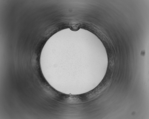 X0000116620270201001081238