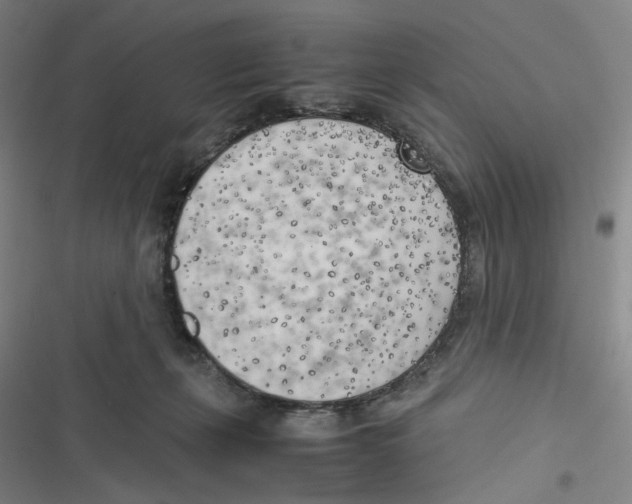 X0000116620271201001081238