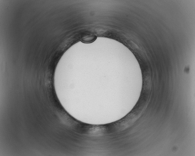 X0000116620274201001081238