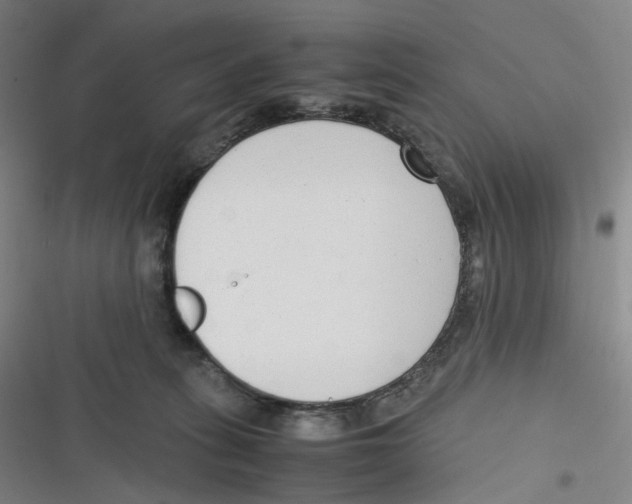 X0000116620275201001081238