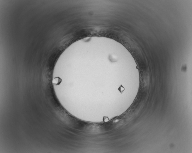 X0000116620276201001081238