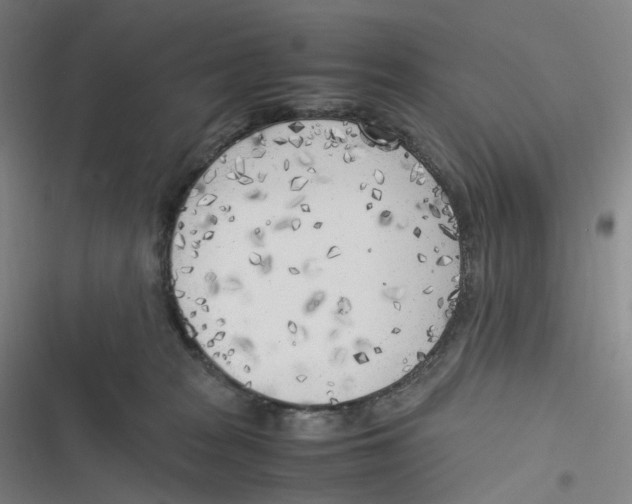 X0000116620277201001081238