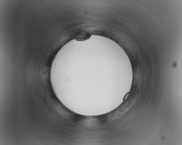 X0000116620278201001081238