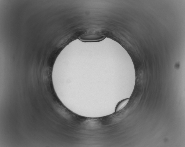 X0000116620280201001081238