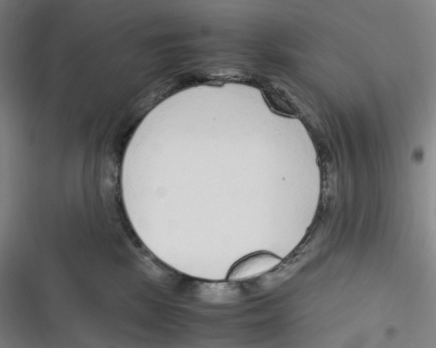 X0000116620281201001081238