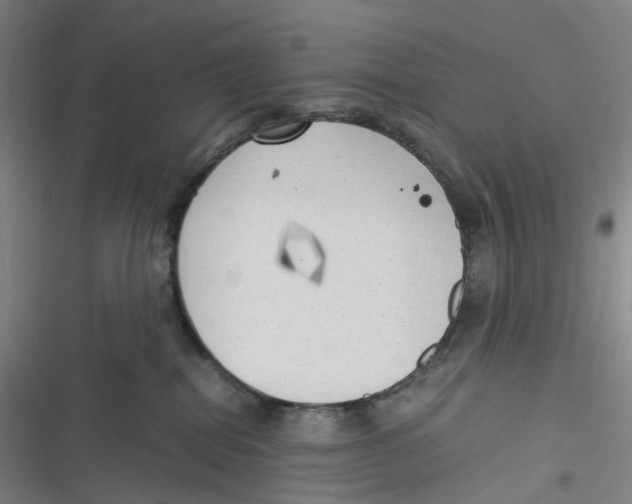 X0000116620282201001081238