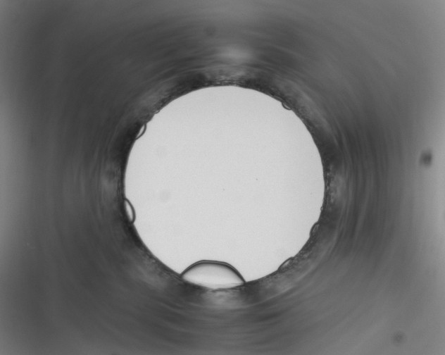 X0000116620283201001081238