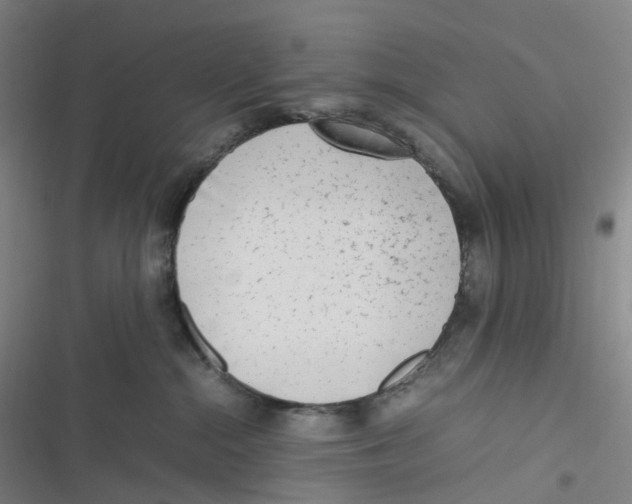 X0000116620284201001081238