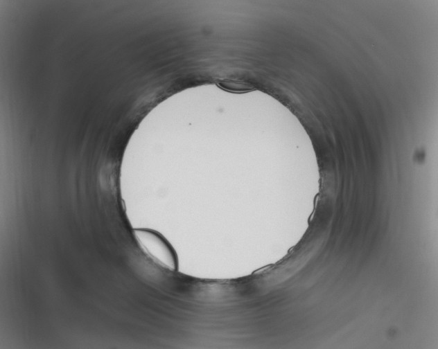 X0000116620286201001081238