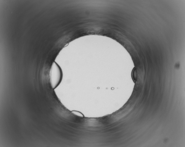 X0000116620287201001081238