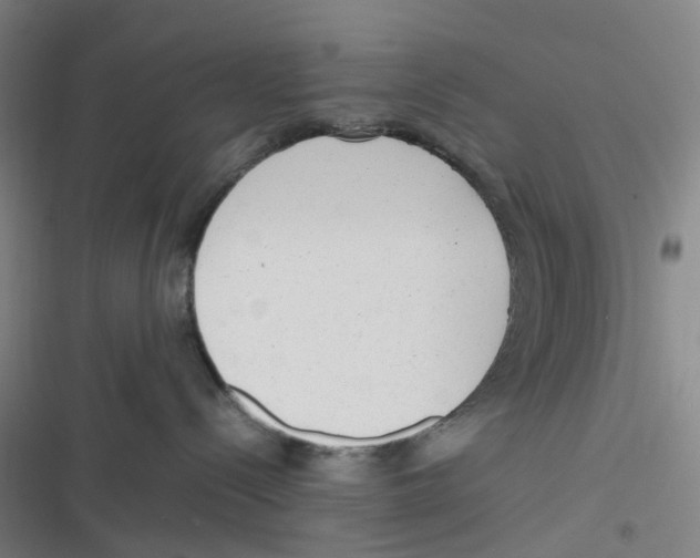 X0000116620288201001081238