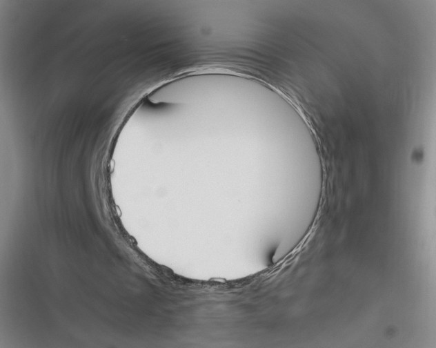 X0000116620289201001081237