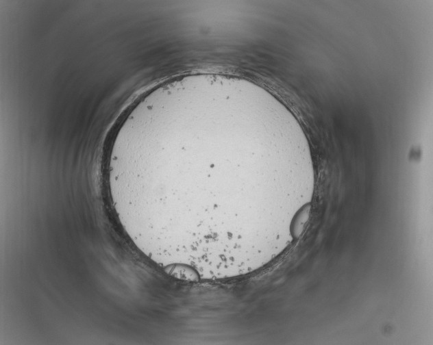 X0000116620290201001081237