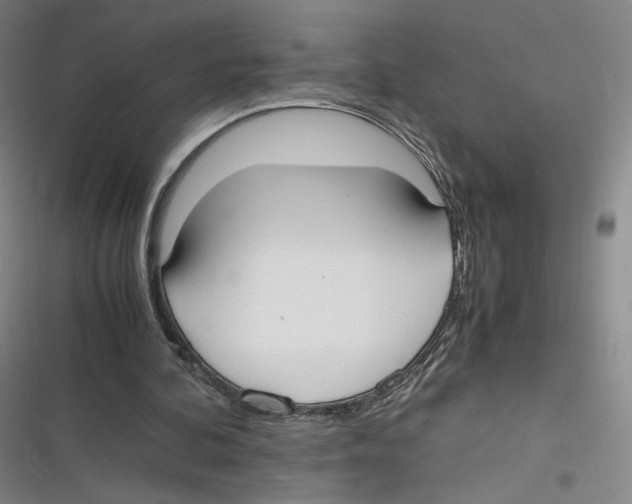 X0000116620292201001081237