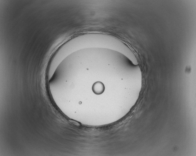 X0000116620293201001081237