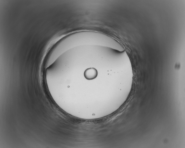 X0000116620294201001081237