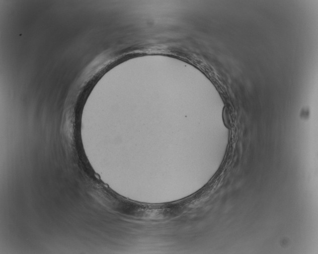 X0000116620295201001081237