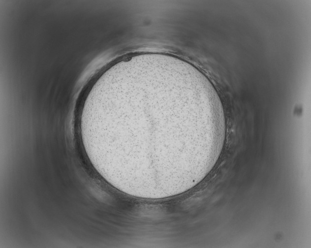 X0000116620296201001081237