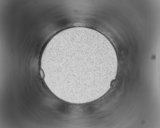 X0000116620297201001081237