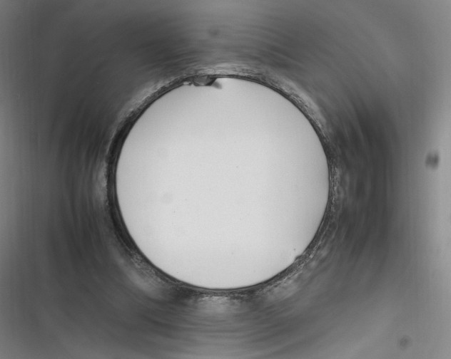 X0000116620298201001081237