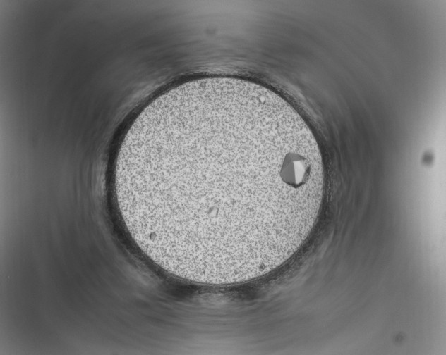 X0000116620299201001081237